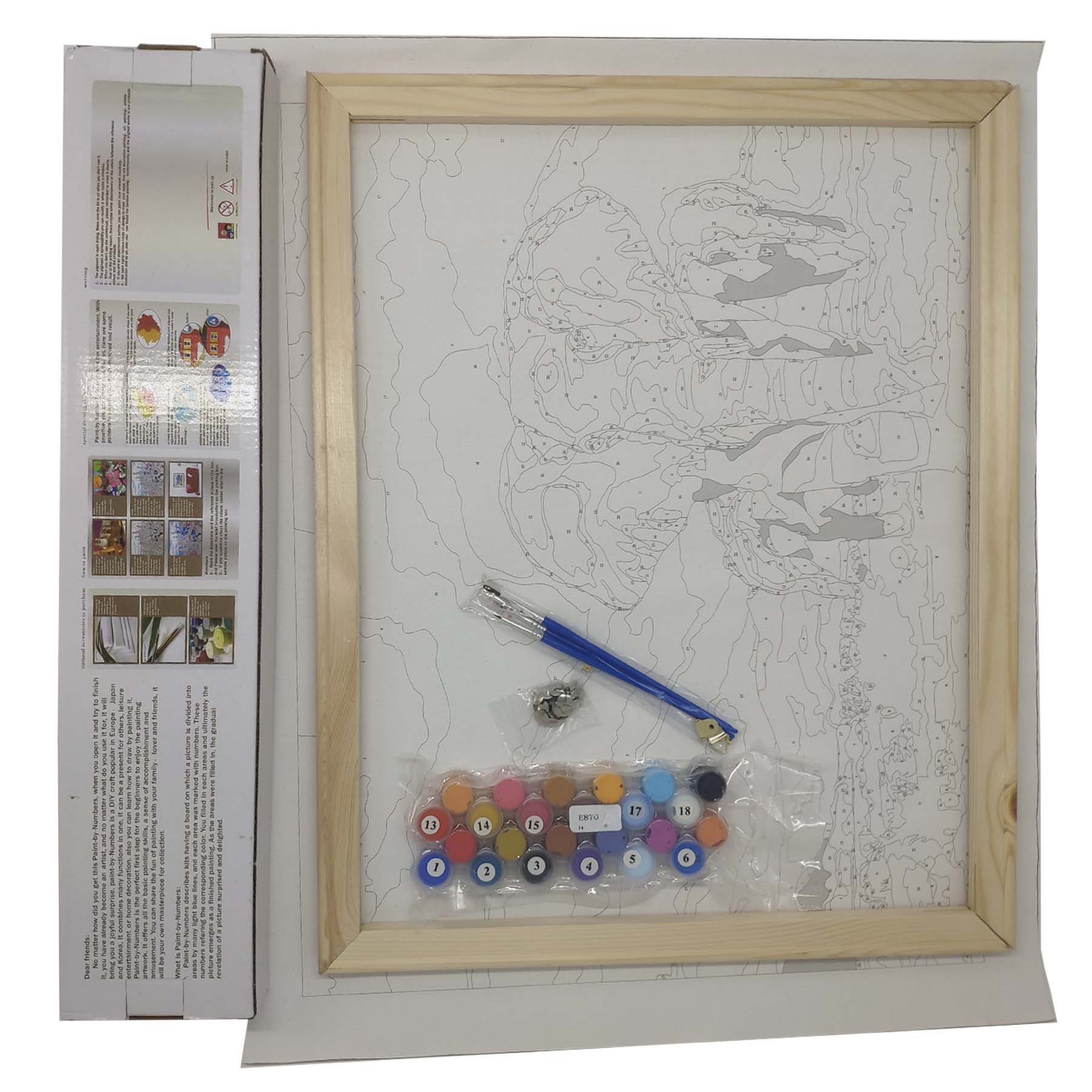 DIY Paintings by Numbers Kit 1