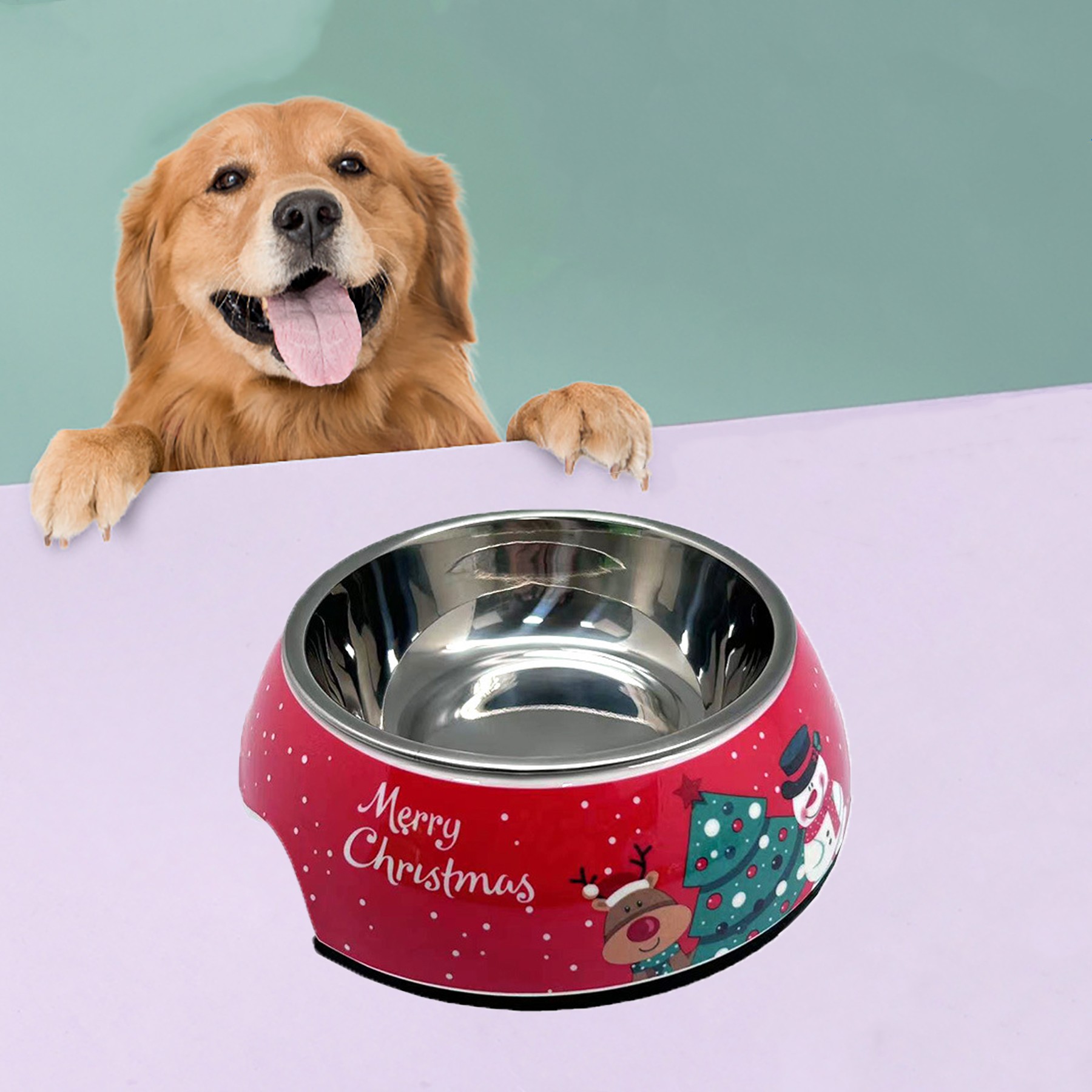 Pet Bowl