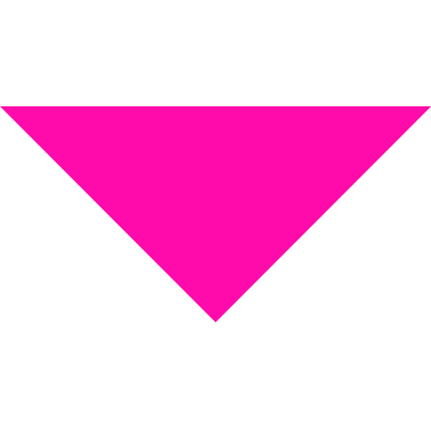 Small Triangle Pet Bandana w/ Screen Print 15