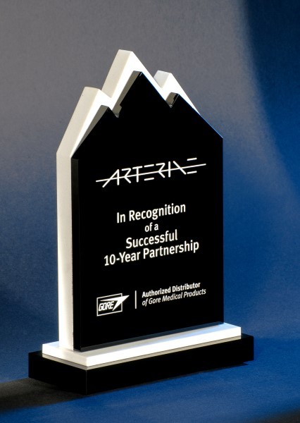 Contemporary Vistas Crystal Taos Award 2