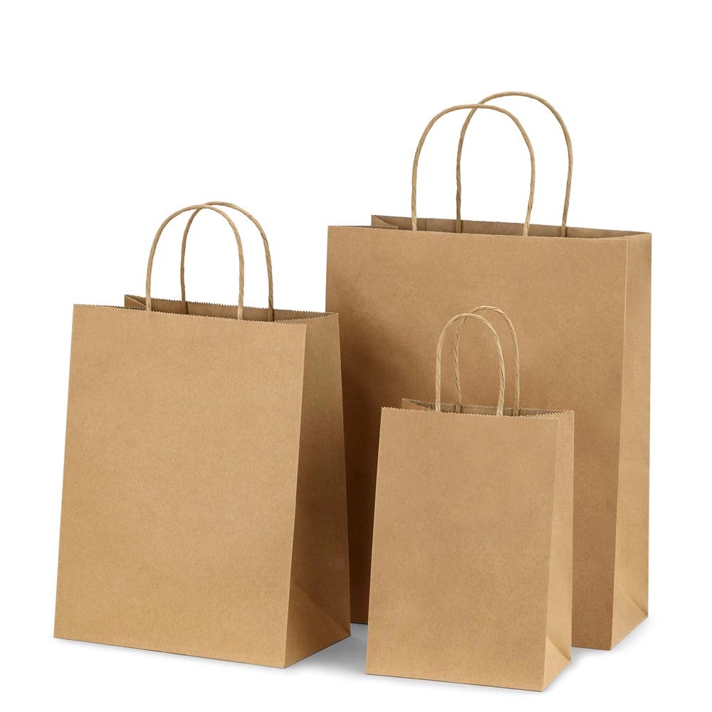 Brown Kraft Paper Bag With Handles Rush Service
