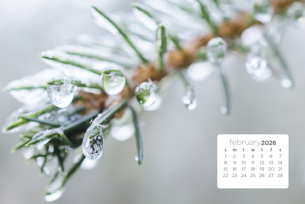 Triumph® Calendars Simplicity Large Desk Calendar 34