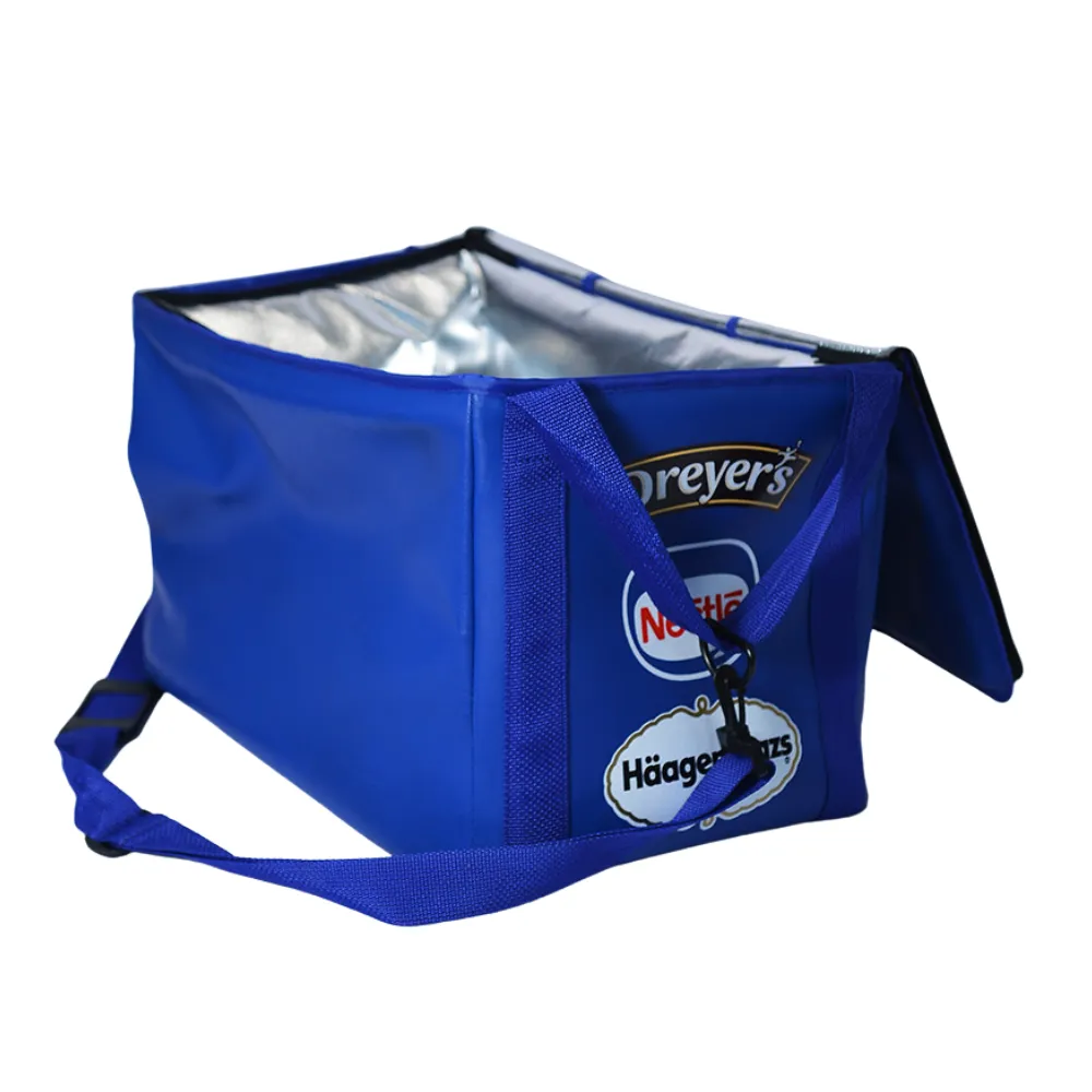 Lunch Cooler Bag 2
