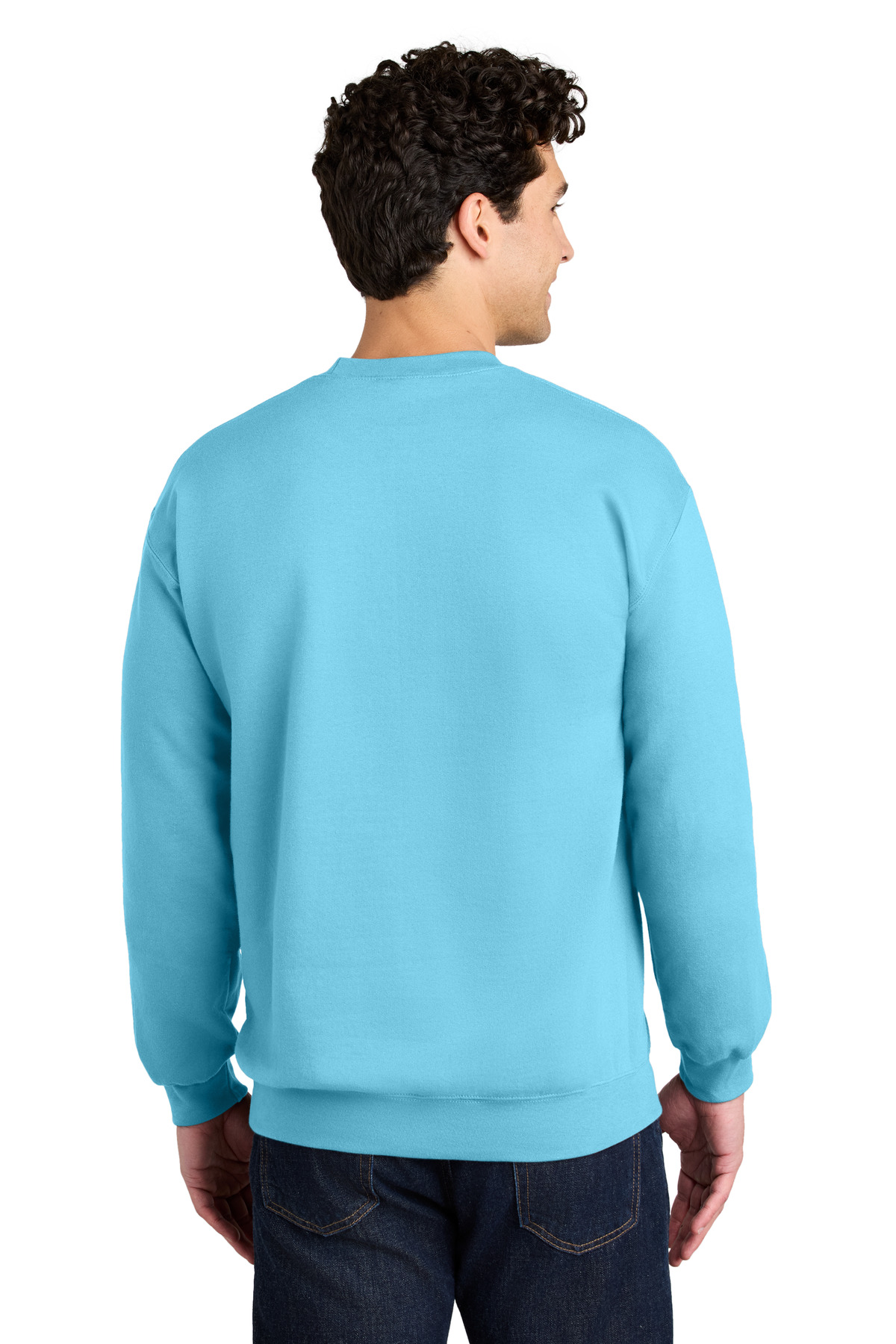 Gildan Softstyle Crewneck Sweatshirt SF000 41