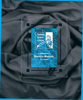 7" x 9" Blue Marble Acrylic Clear-Plaq Award 2