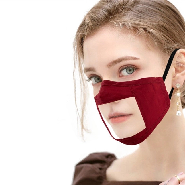 Reusable Mouth Visible Transparent Face Mask 1