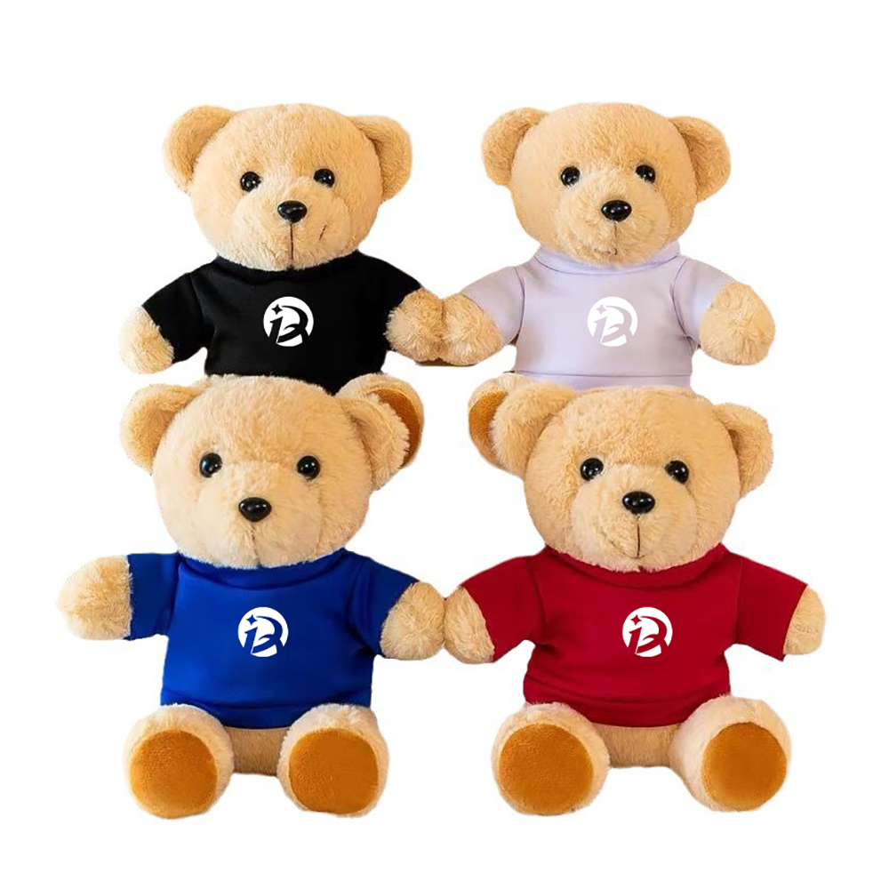 Plush Teddy Bear w/ T-Shirt 5