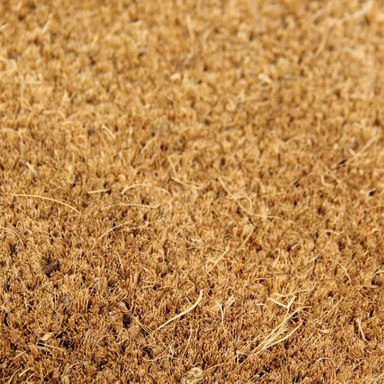 Coir Doormat 6