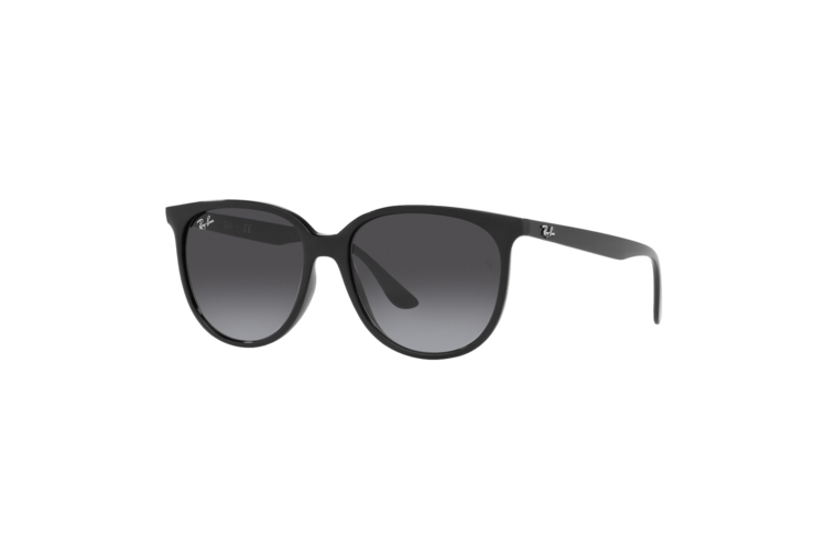 Ray-Ban RB4378 Sunglasses 1