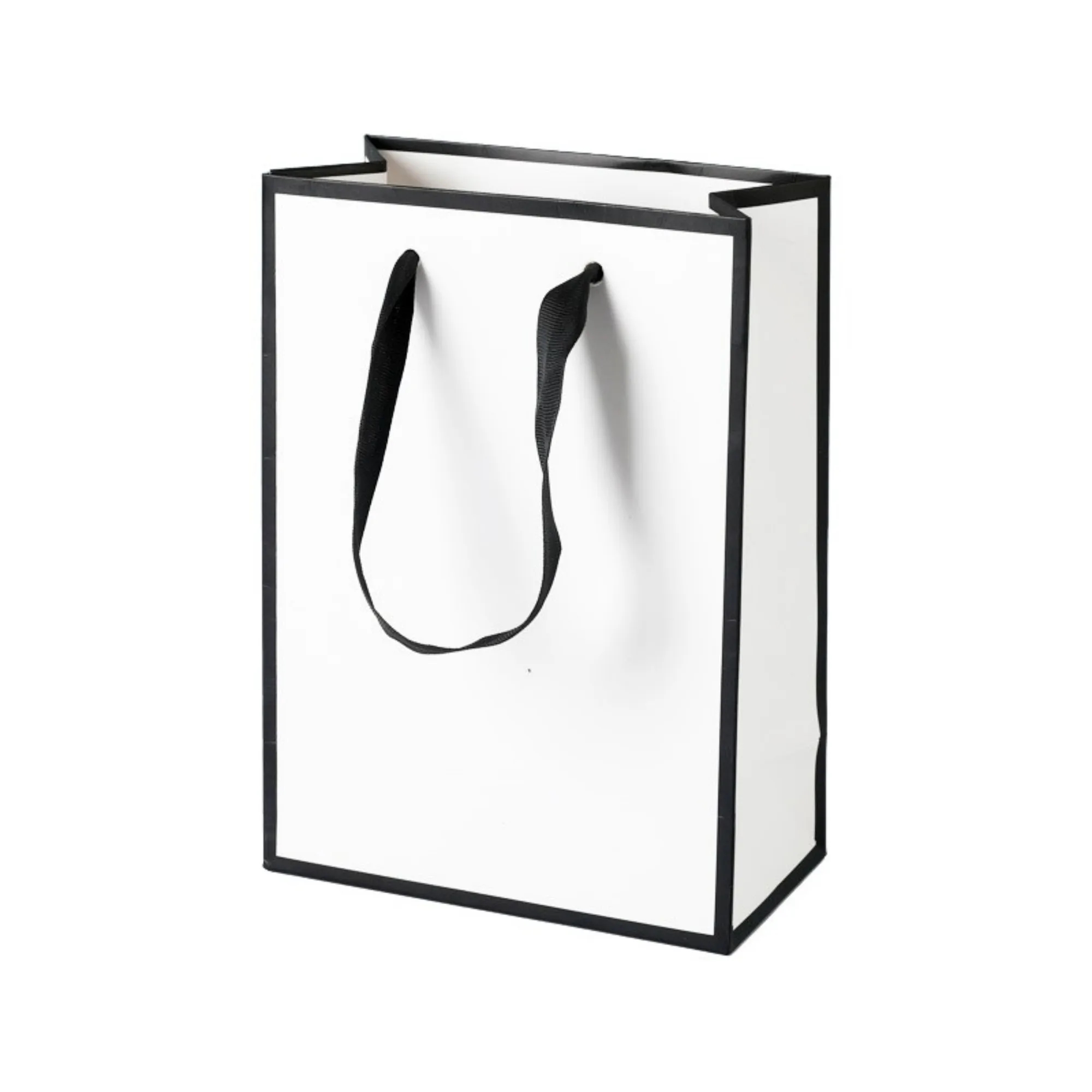 Paper Shopping Bag 2