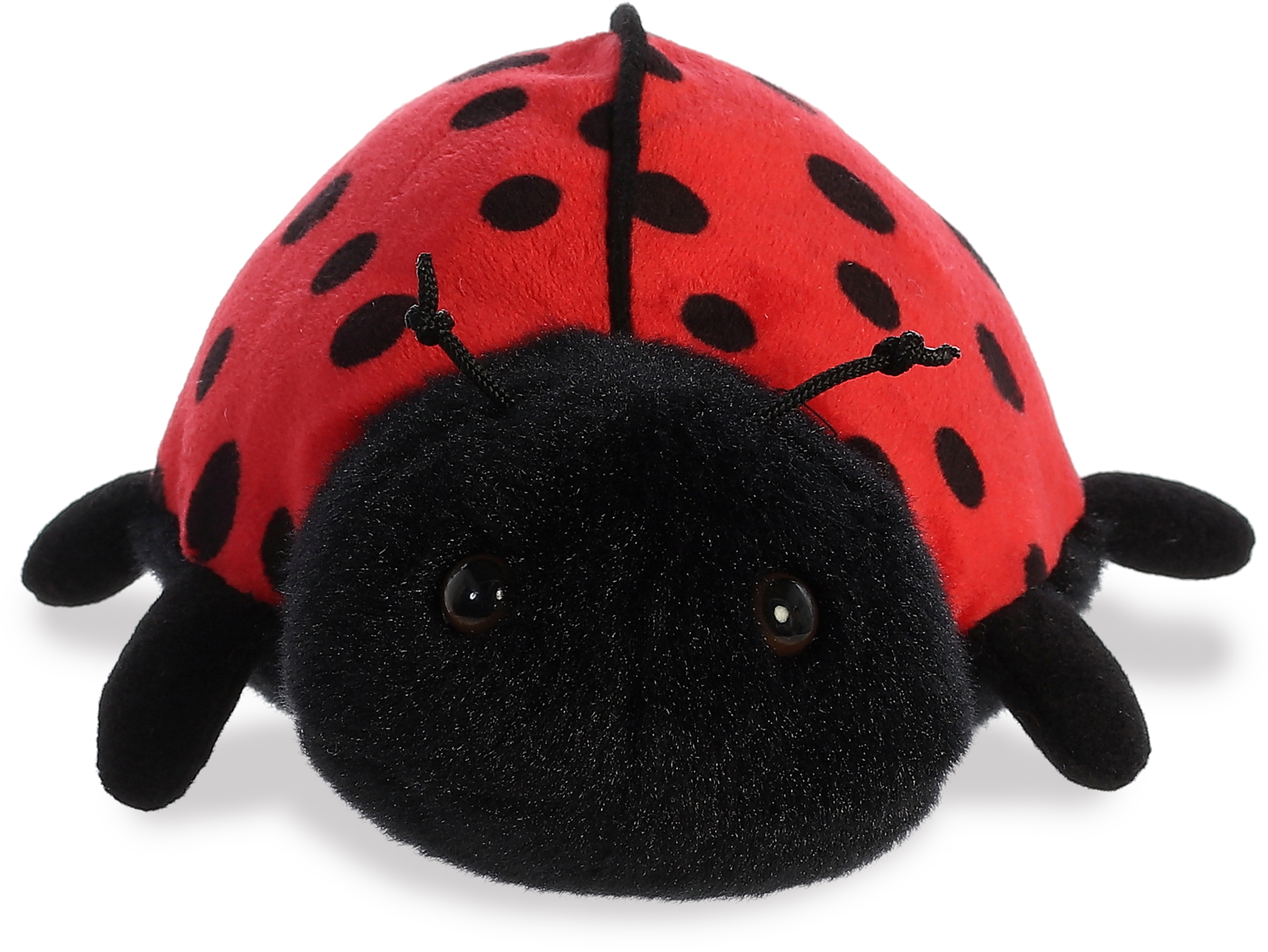 8" Ladybug 2