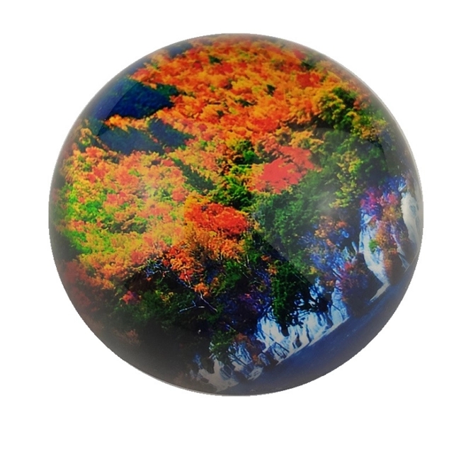 Round Dome Glass Paperweight - full color 7