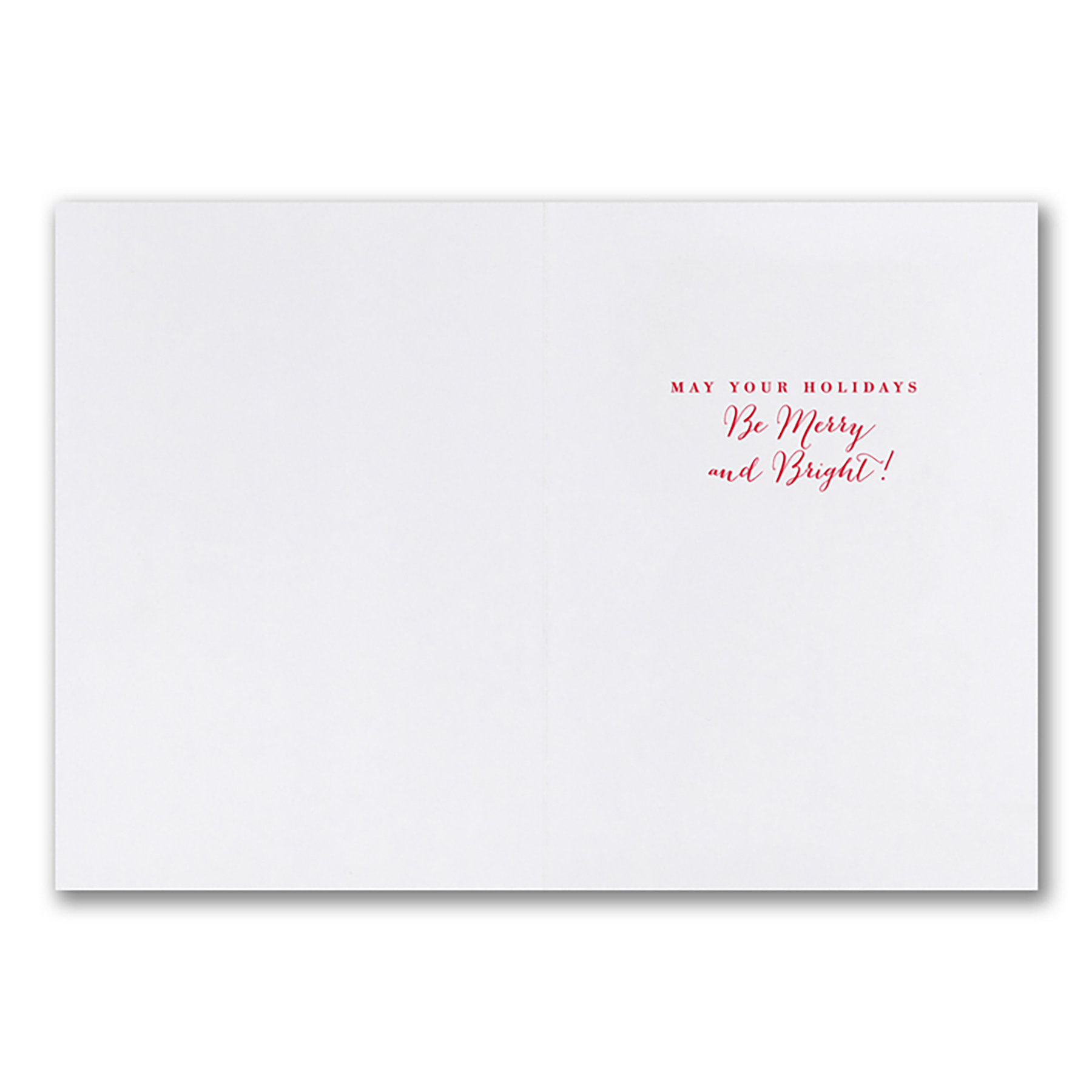 Warm Winter Wishes Holiday Card 2