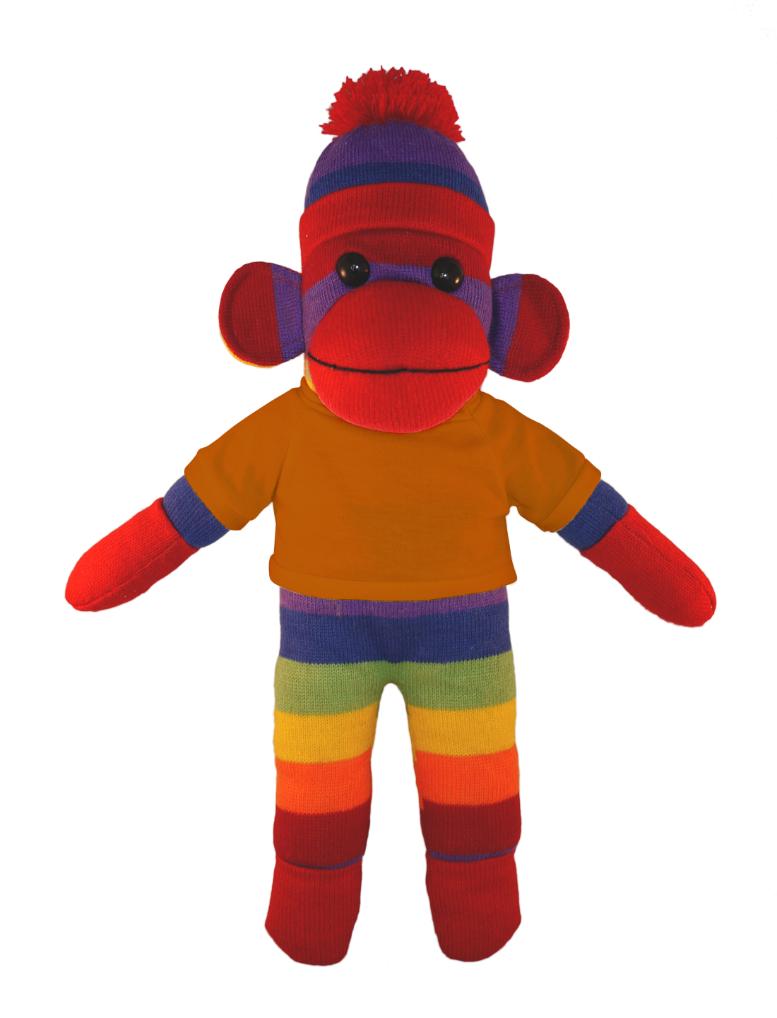 Rainbow Sock Monkey with Tee 10