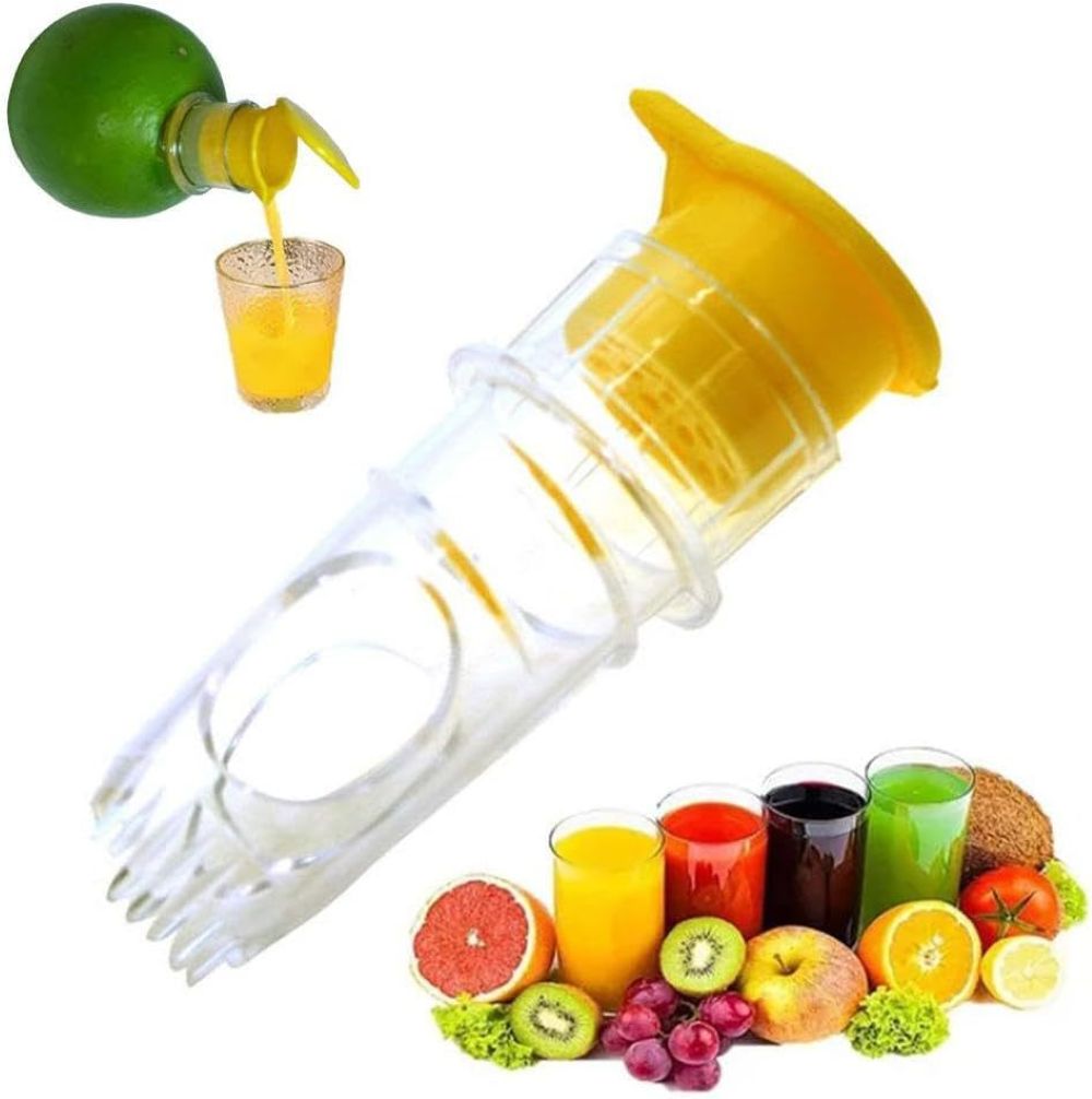 Fruit Juicer Squeezer 2
