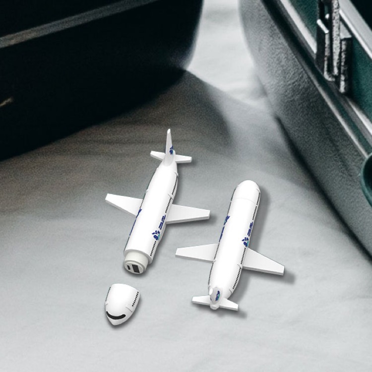 Custom 737 Passenger Plane Charger 2