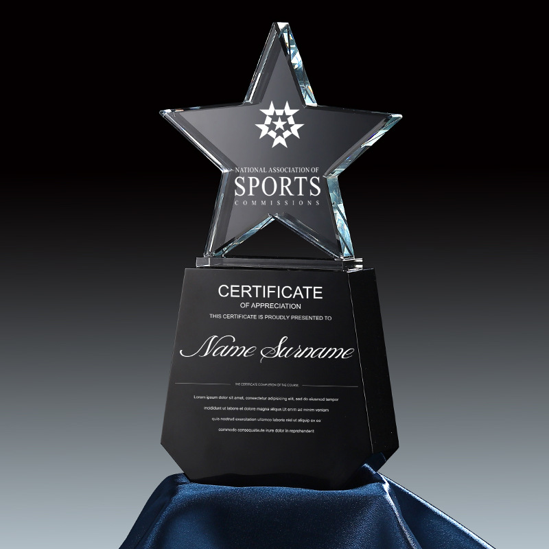 Top Star Award
 7