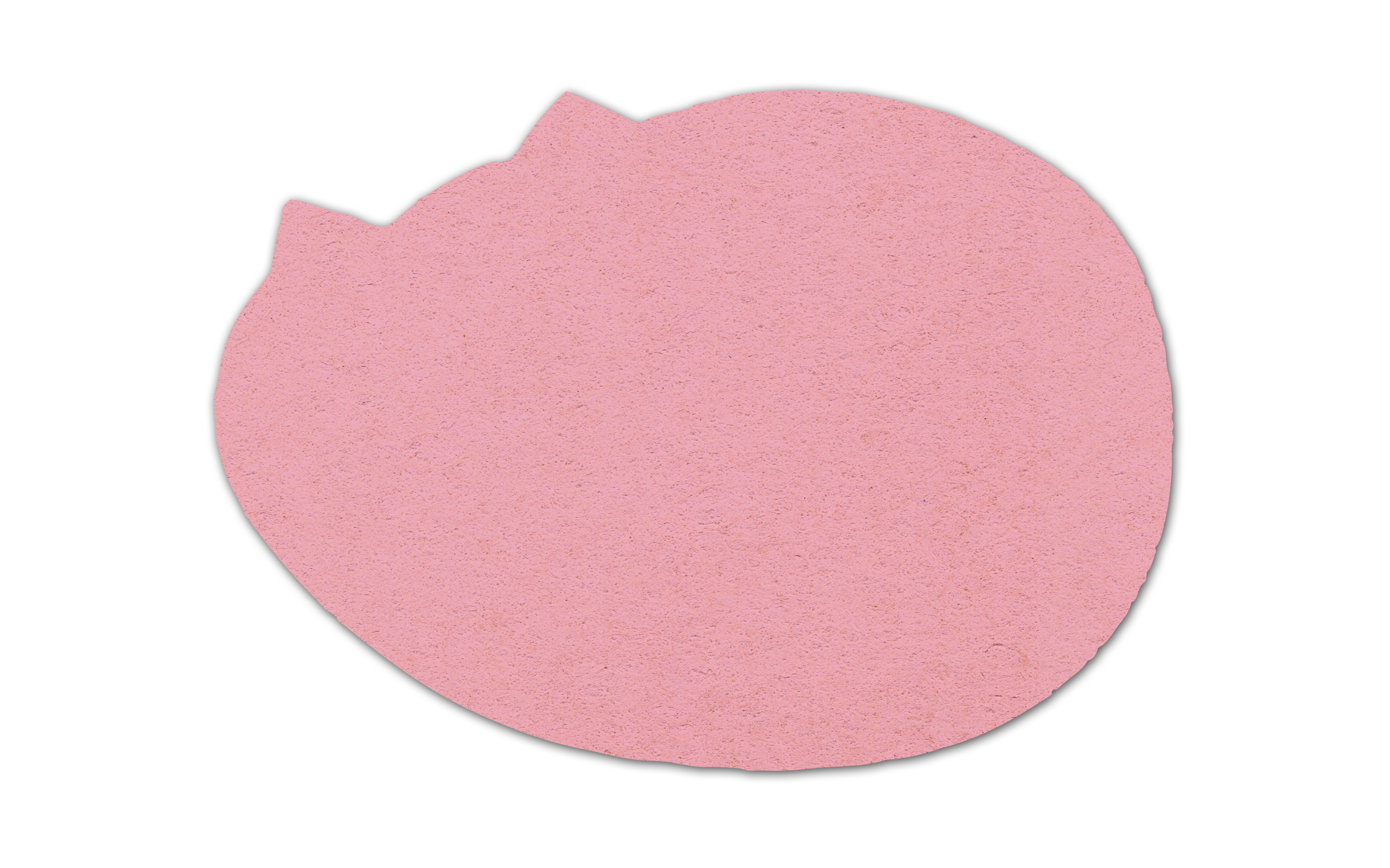 Cat Compressed Sponge 10
