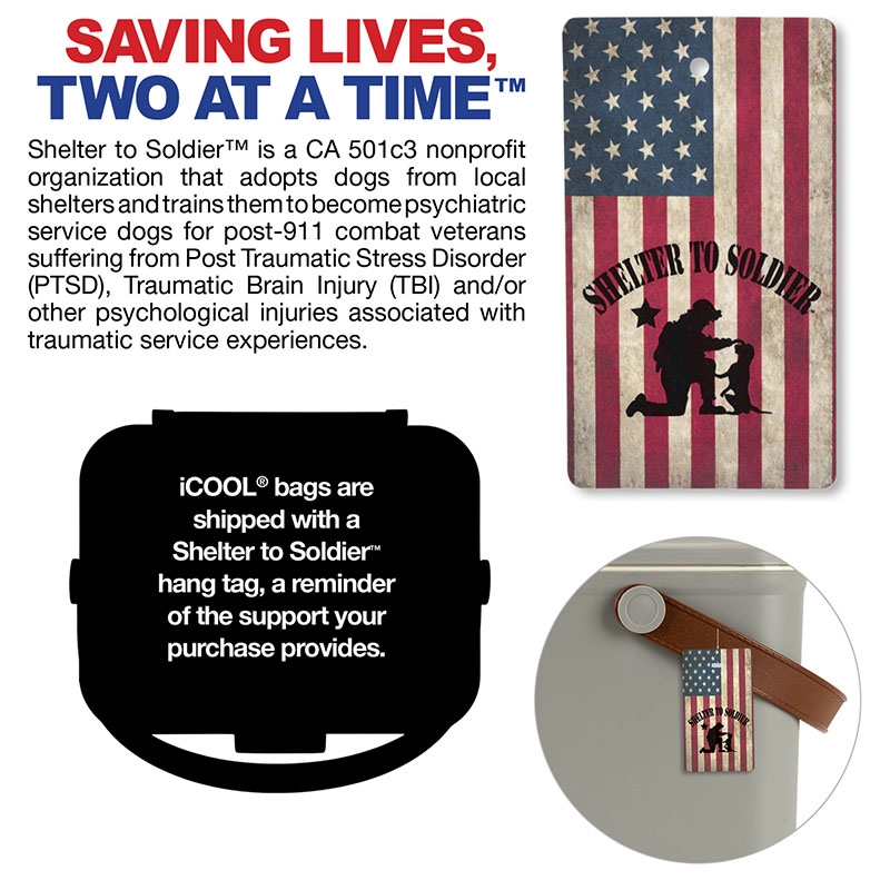 iCOOL Hale 6-Can, 5.25 Qt Hard Sided Cooler 28