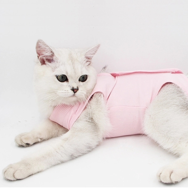 Cat Postoperative Recovery Suit 3