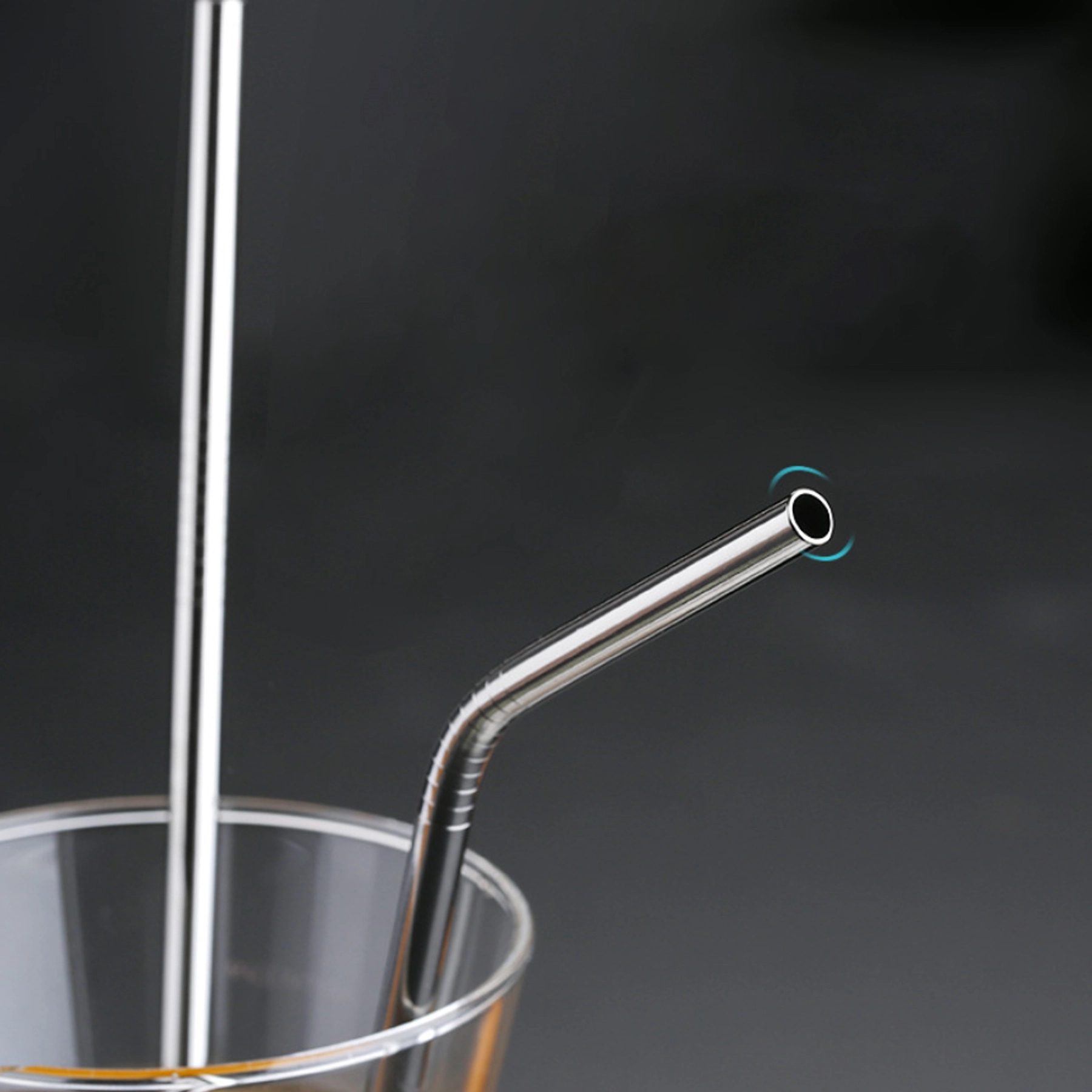 Stainless Steel Straw 2