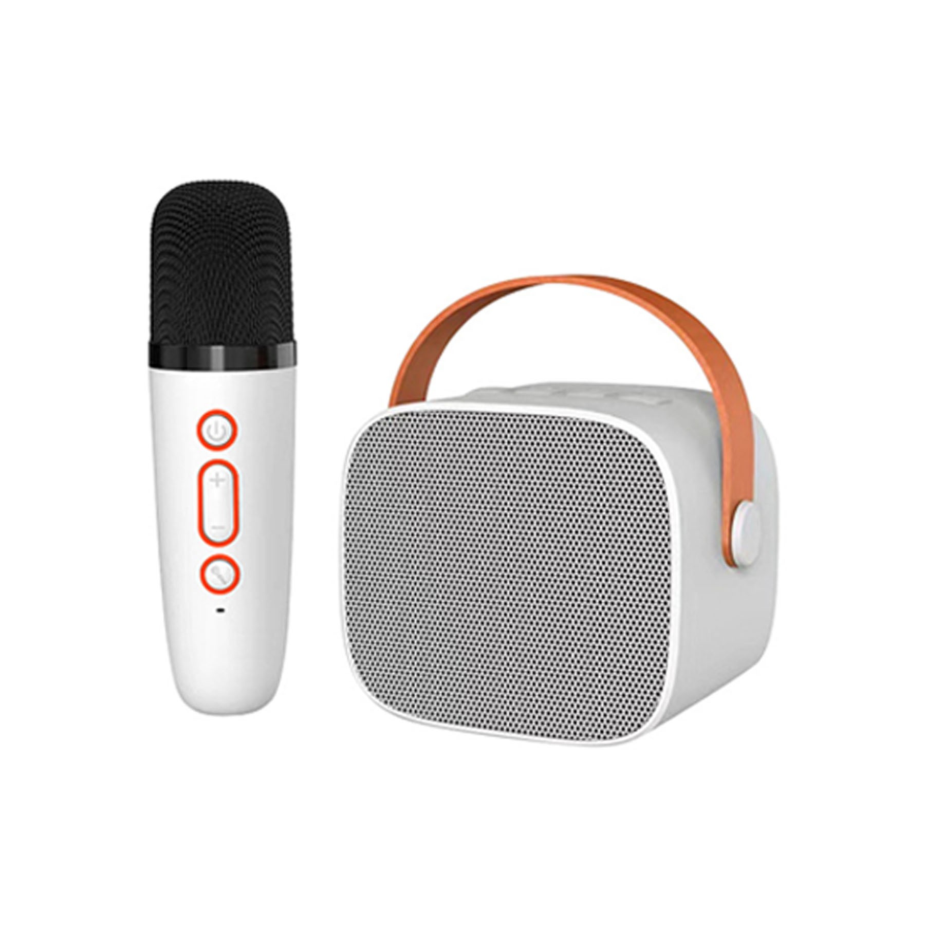 Portable Loud Speakers With Wireless Microphone 2