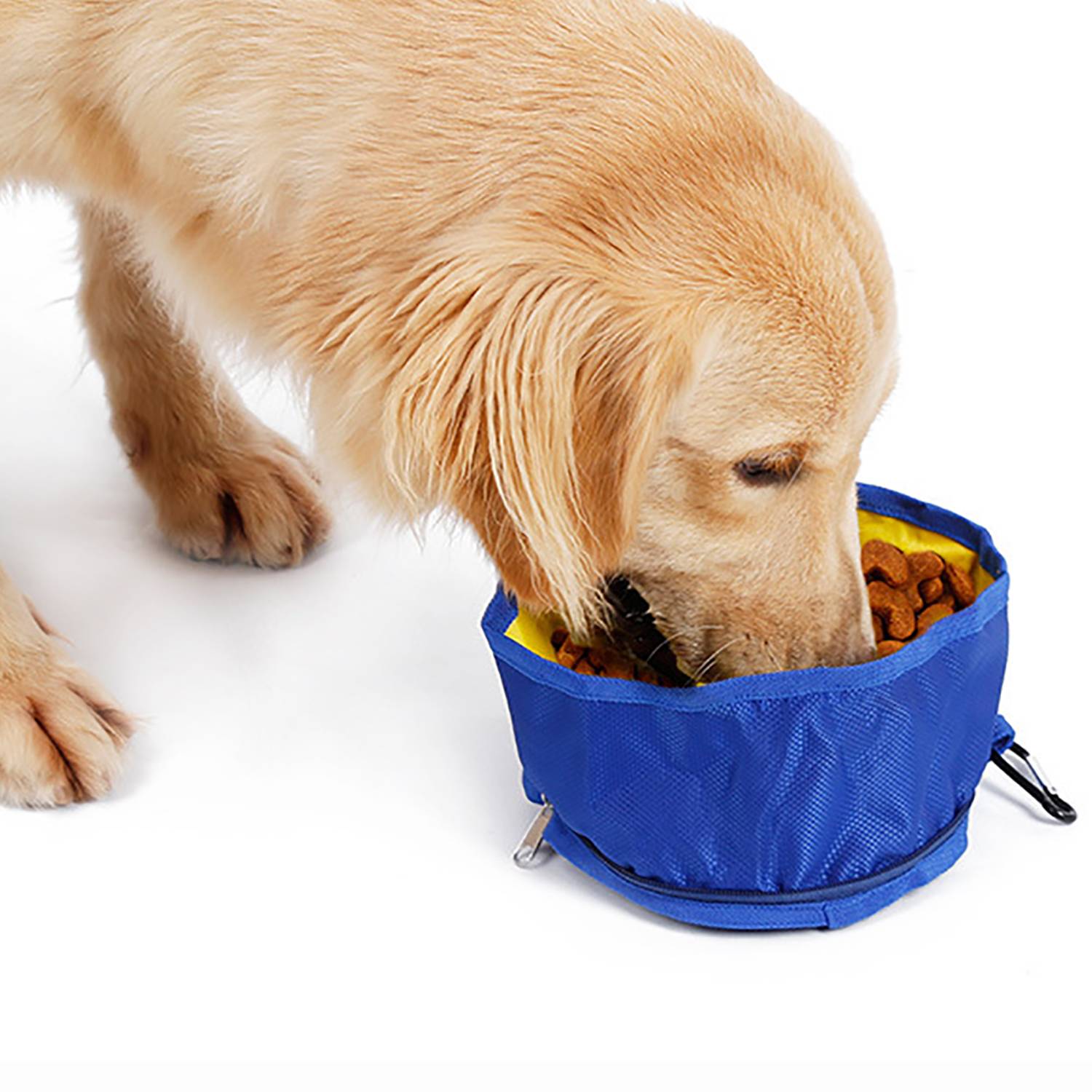 Outdoor Oxford Waterproof Foldable Pet Bowl 4