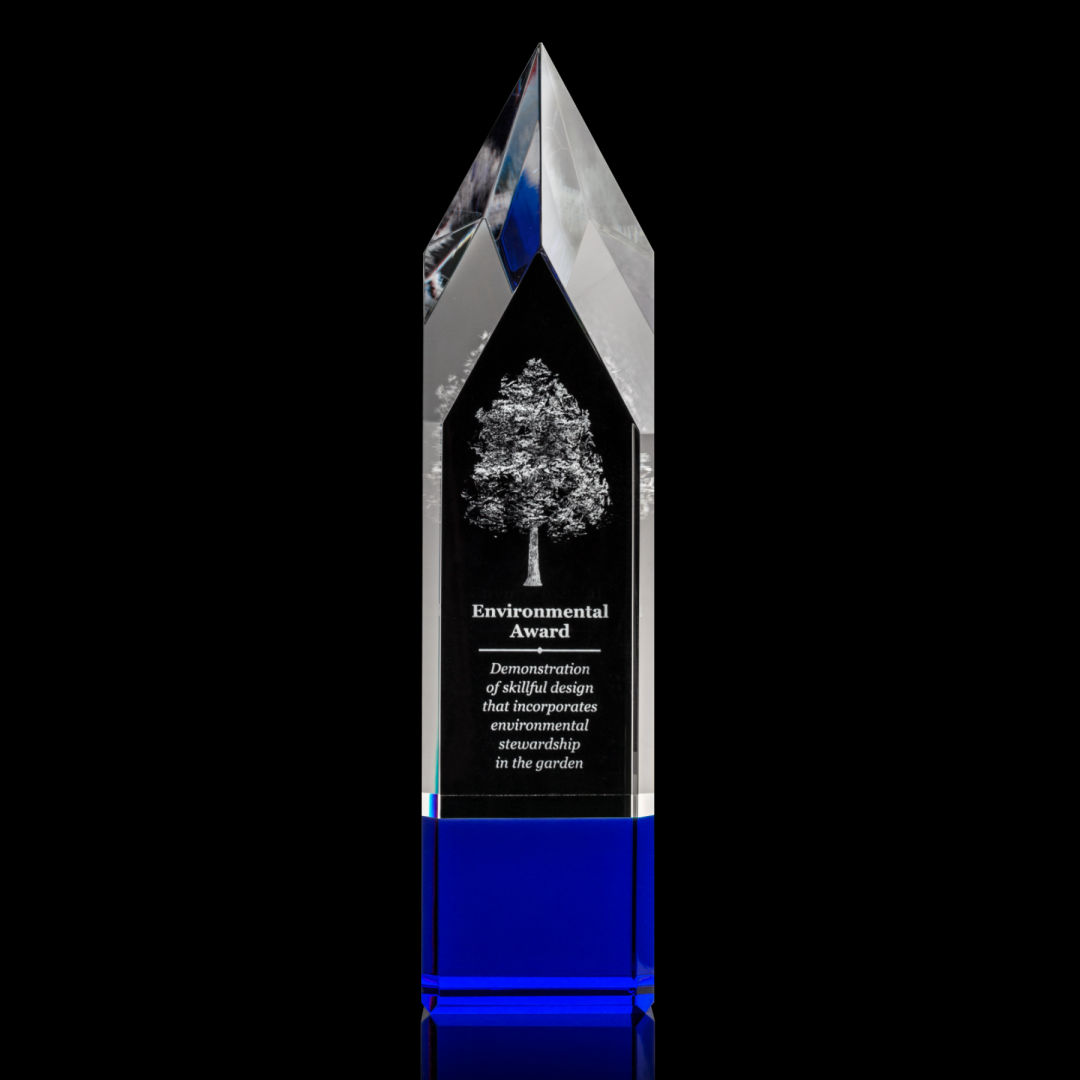 Coventry 3D Award - Blue 2