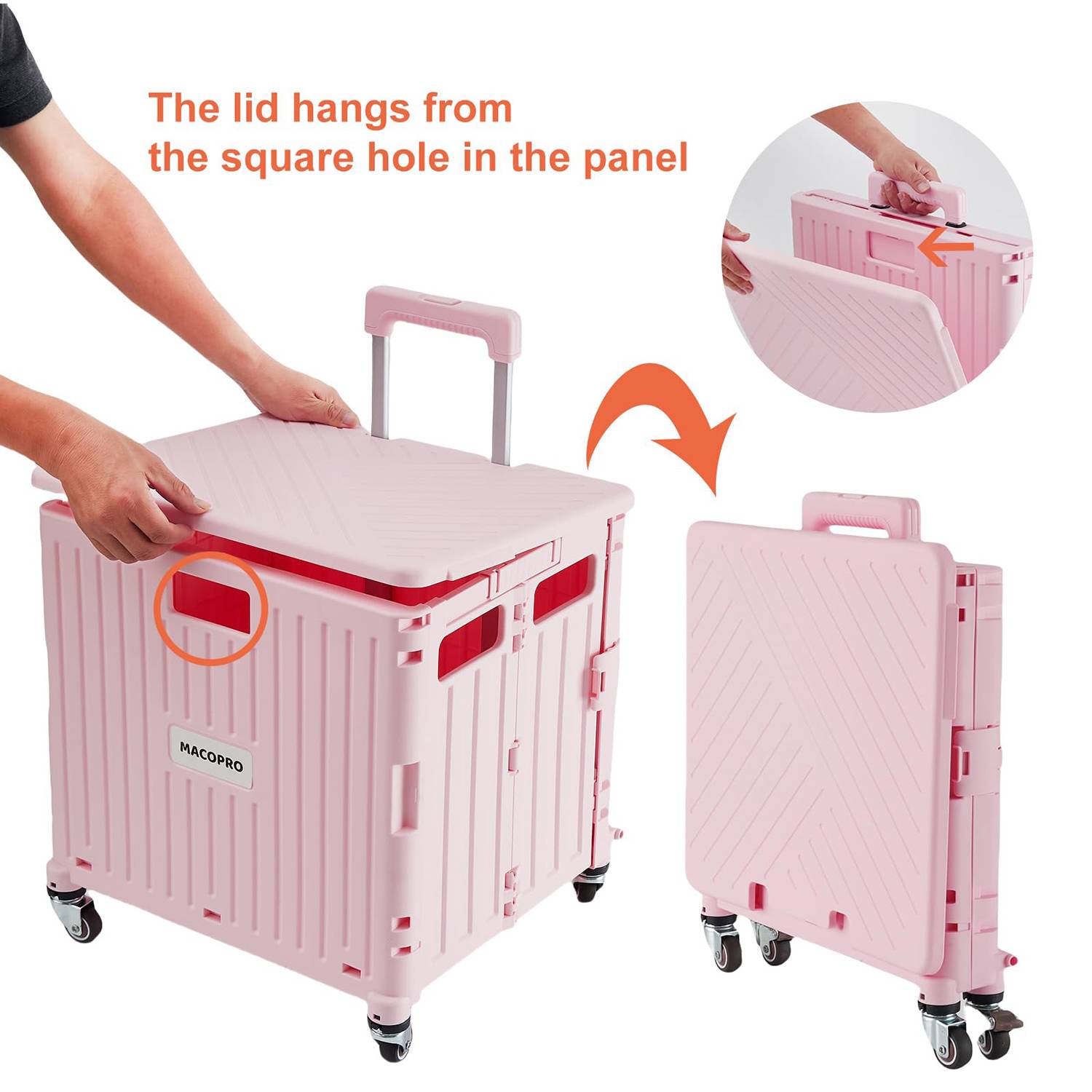 Household Adjustable Handle Foldable Portable Shopping Cart 4