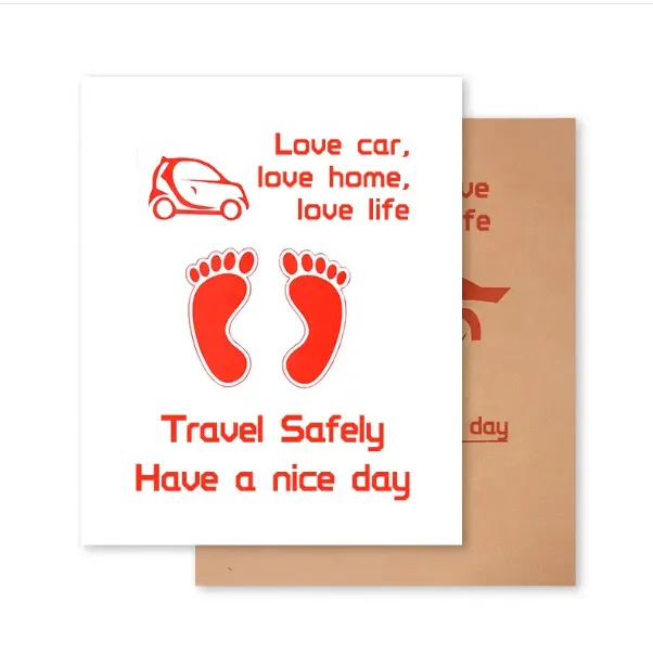 Disposable Car Mats 2