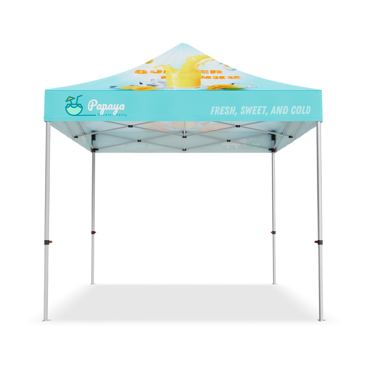 10x10ft Standard Hex Aluminum Frame Tent Kit 8