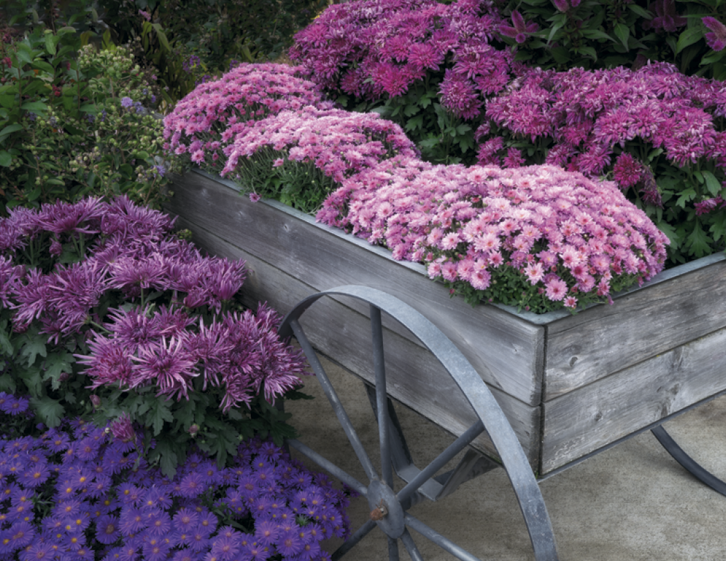 HotLine® Products Gardens Appointment Calendar - Stapled 46