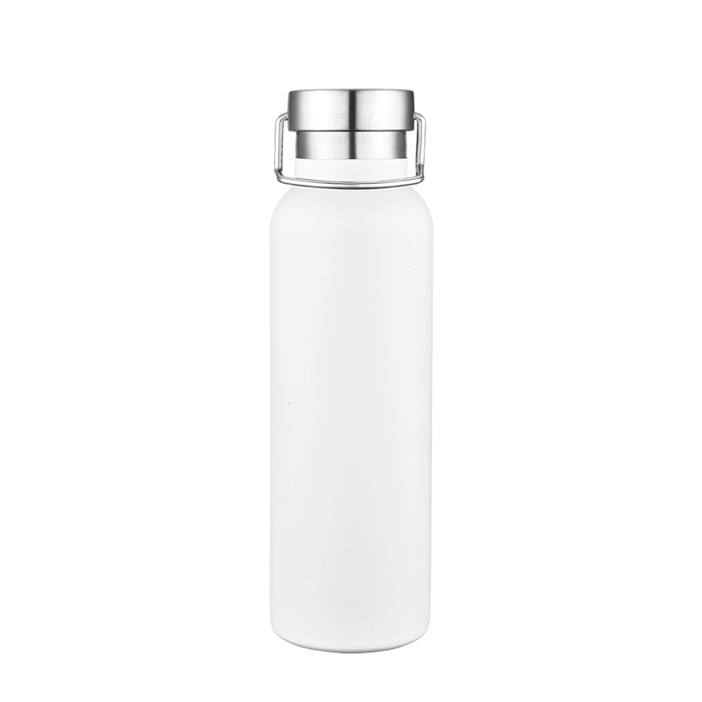 Slate 20oz Vaccuum Bottle