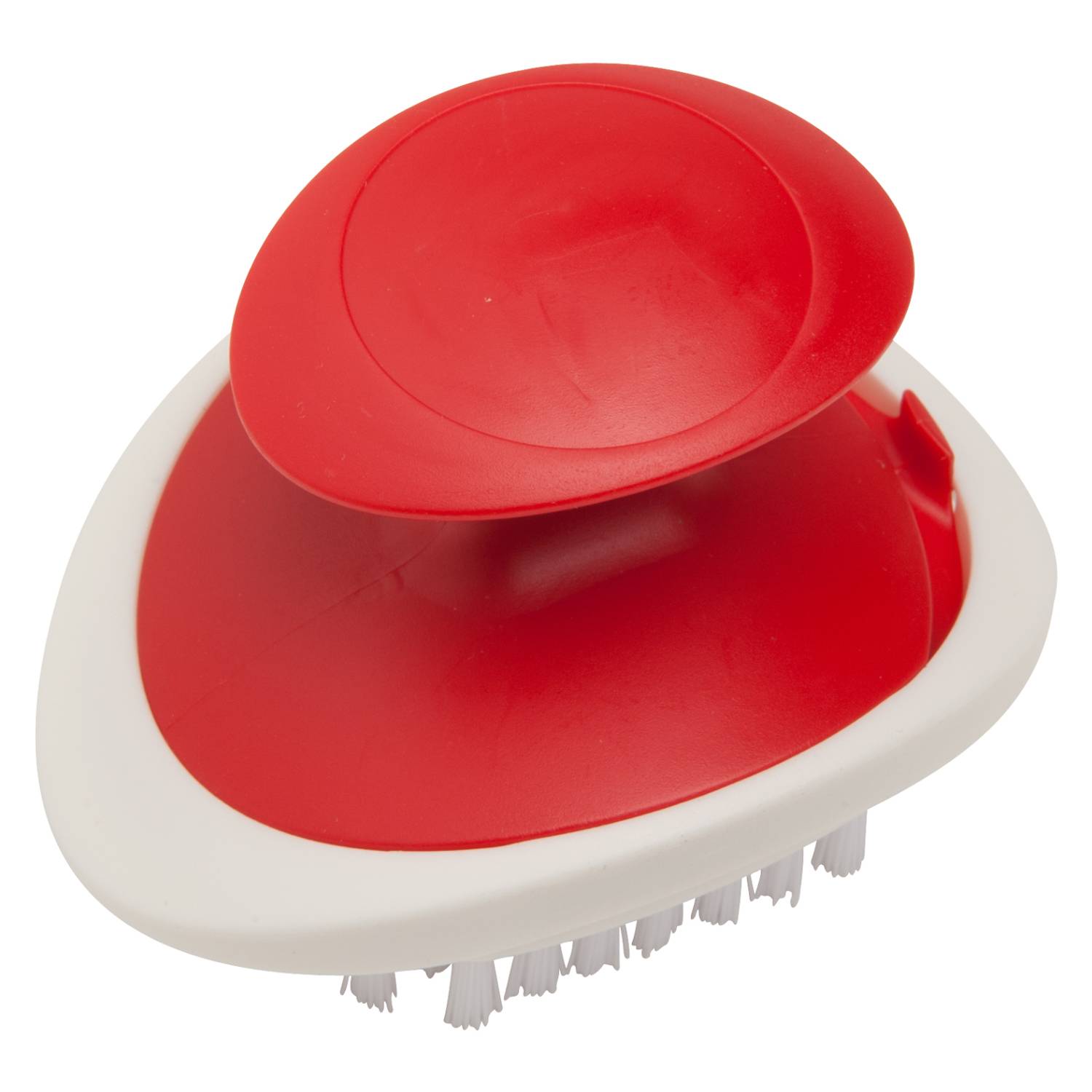 Vegetable and Fruit Brush with Handle 7