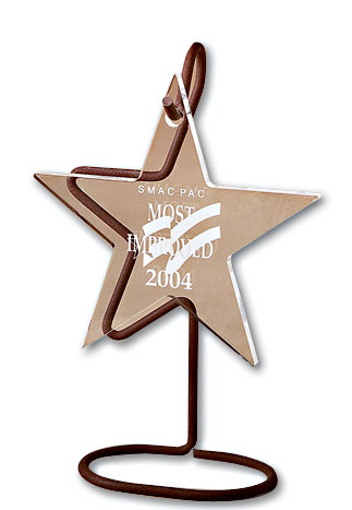 Recognition Acrylic Award 2