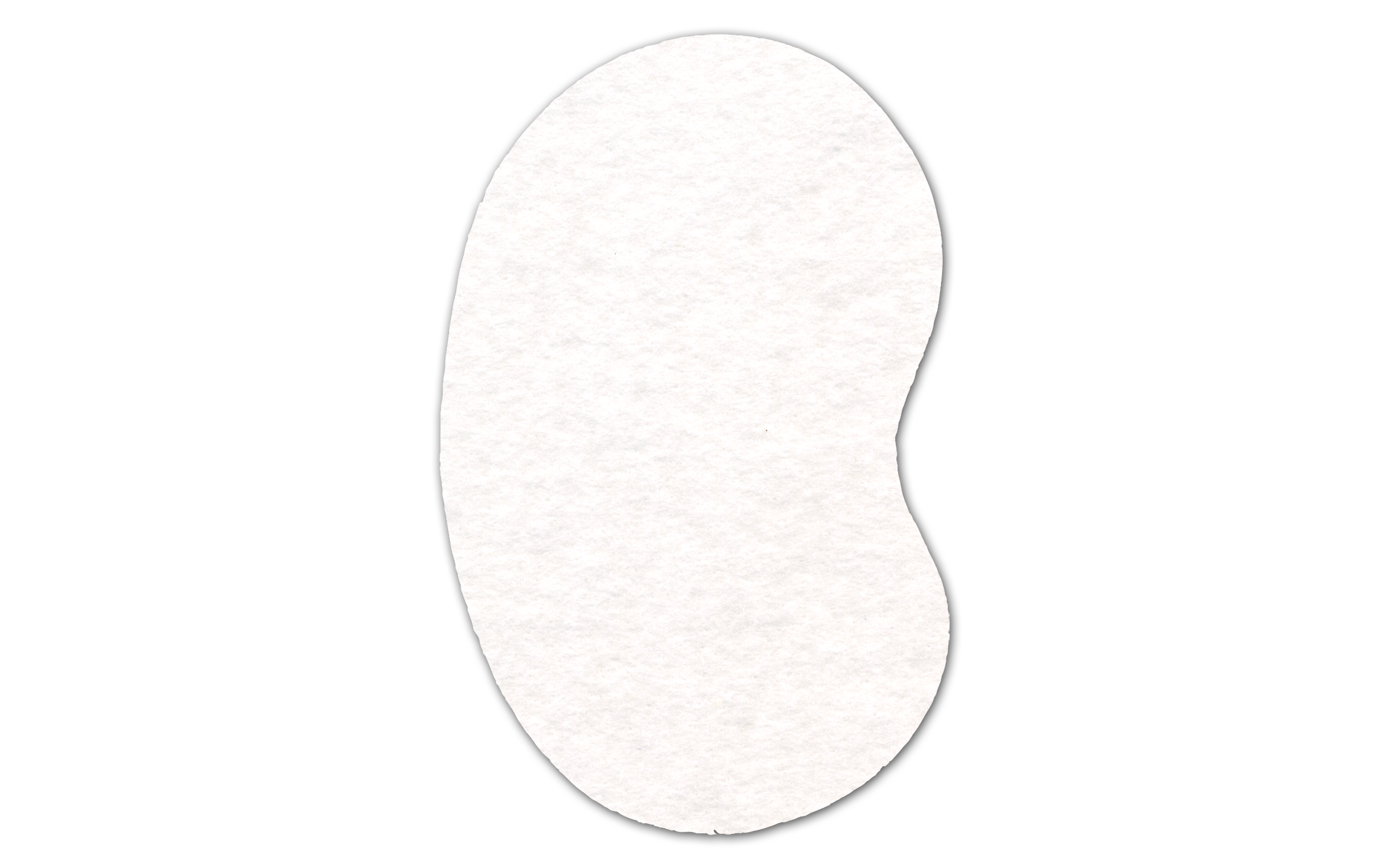 Kidney Shammy Coaster 8