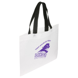 Landscape Recyclable Non-Woven Shopping Bag 43