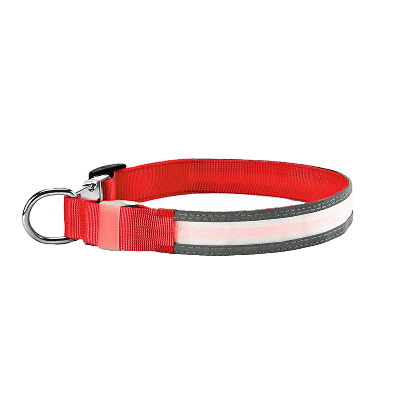 Rechargeable LED Light Up Dog Collar 3