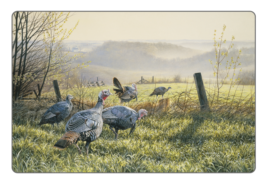 Triumph® Calendars Wildlife Art Pocket Calendar 12