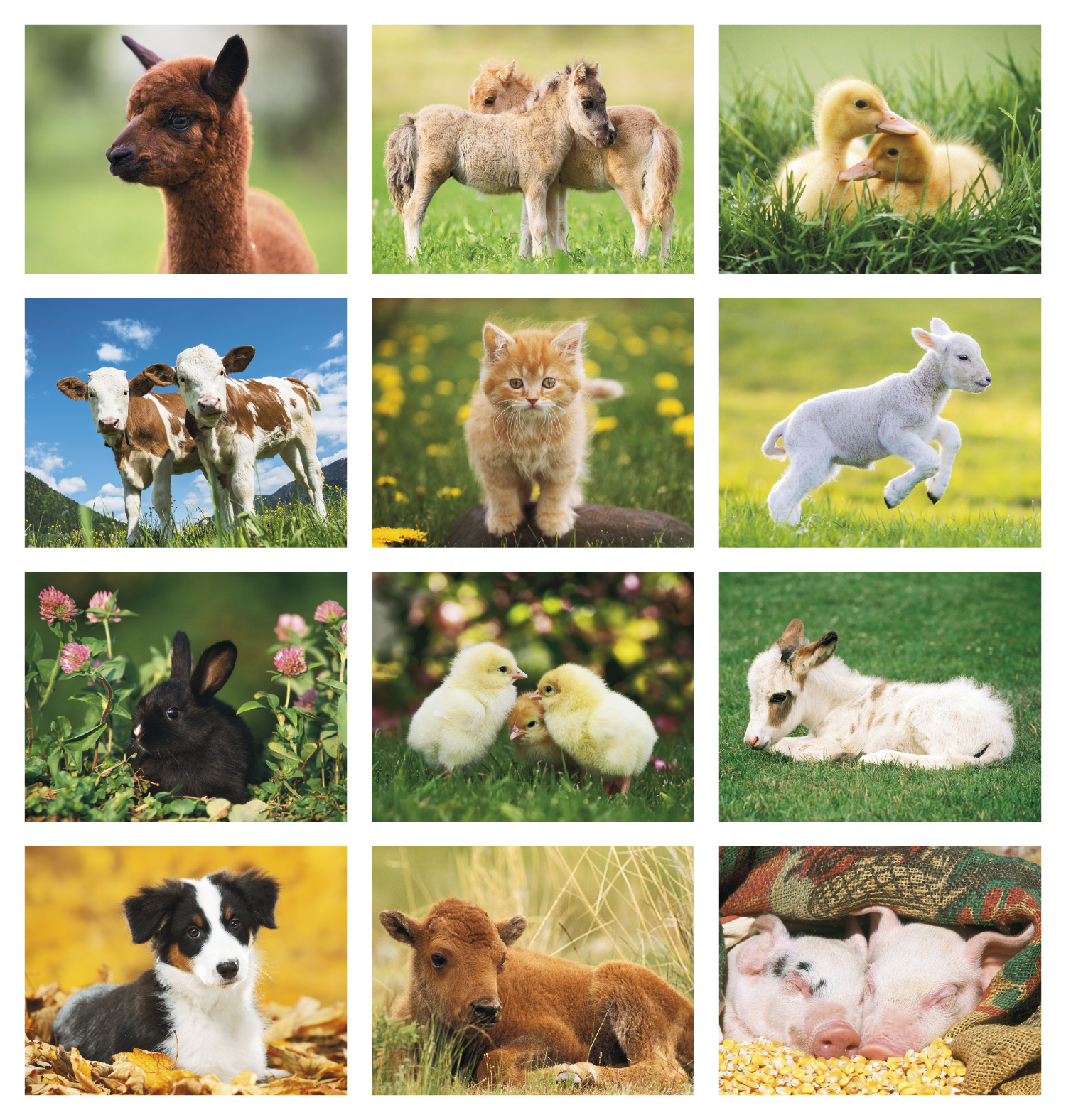 Good Value™ Baby Farm Animals - Stapled Calendar 22