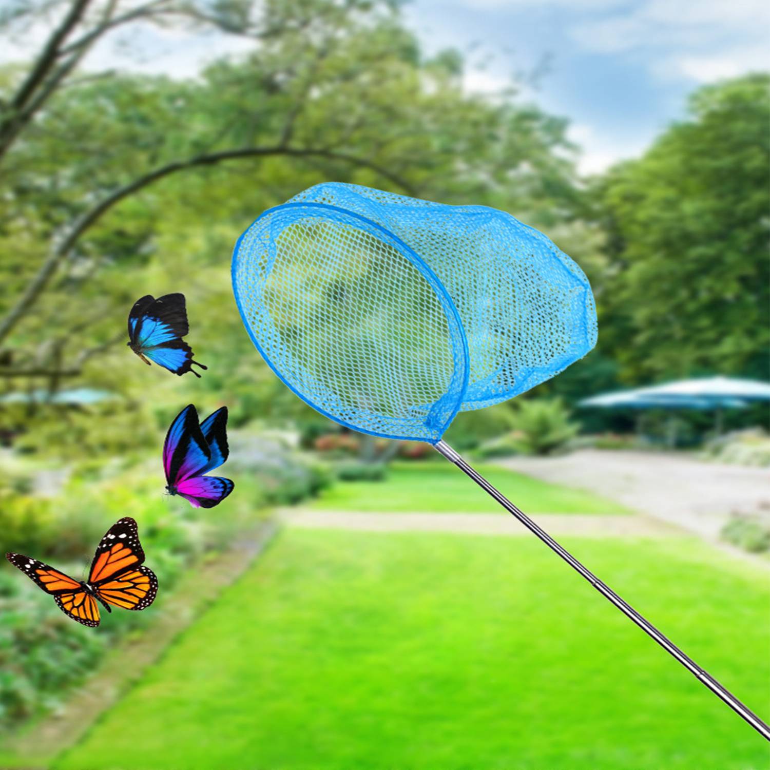Stainless Steel Children'S Fishing Net 7