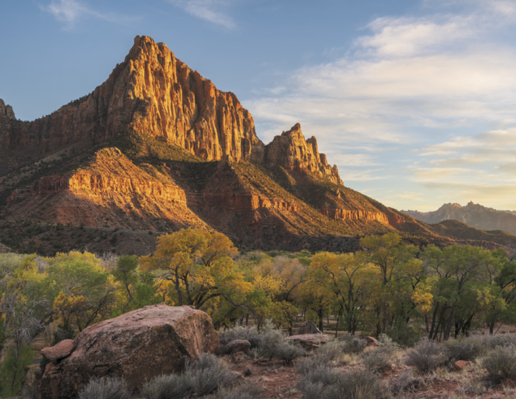 HotLine® Products Catholic Reflections Appointment Calendar - Stapled 43