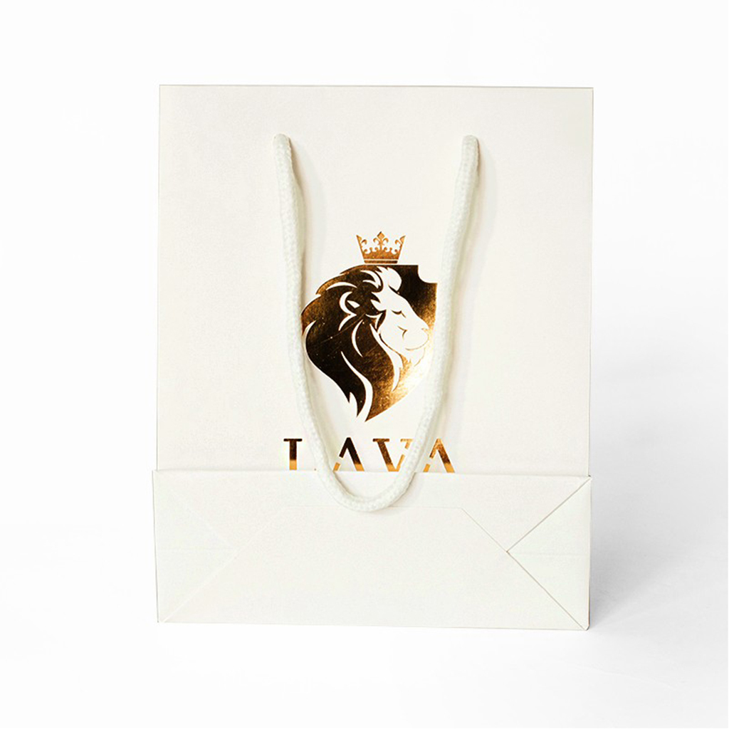 210g C1S paper bag with foil imprint on all sides (10*13*5") 2