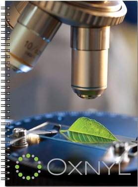 FlexPlanner™ - Large Full-Color (2-Piece) Monthly Calendar