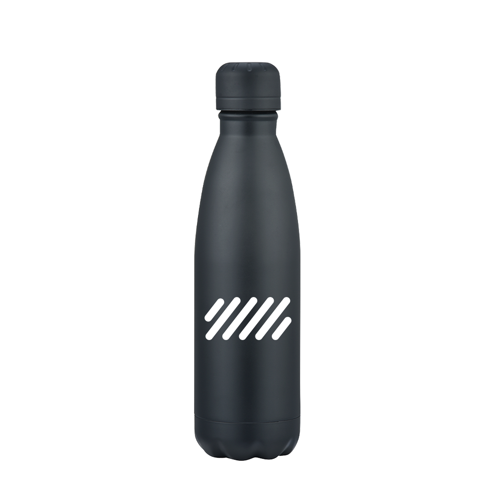 Slate 17oz Vaccuum Bottle