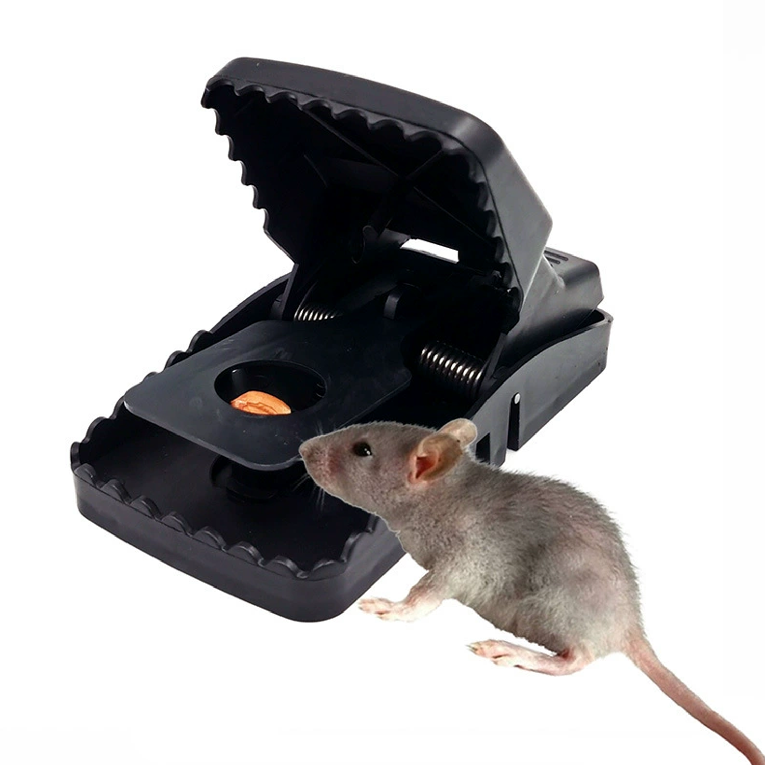 Indoor powerful mouse killing and catching artifact 5