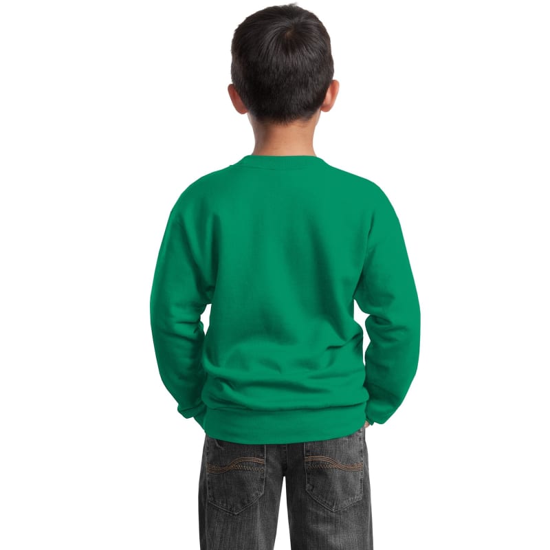 Port & Company Youth Core Fleece Crewneck Sweatshirt. 61