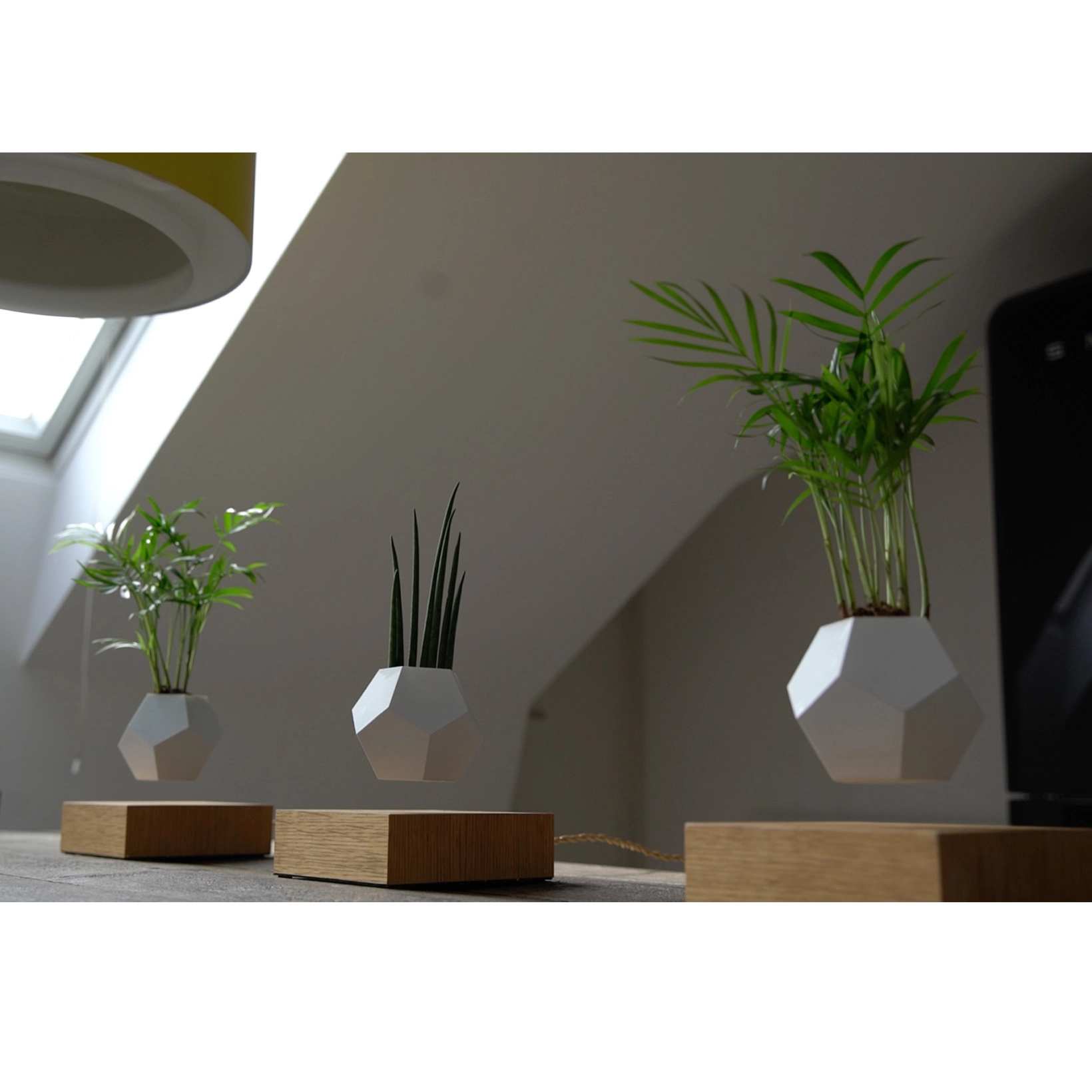 Magnetic Levitating Floating flower planter 5