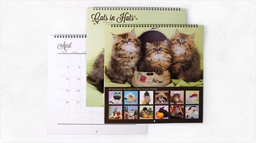 Full-Color Calendar 6MTH 3