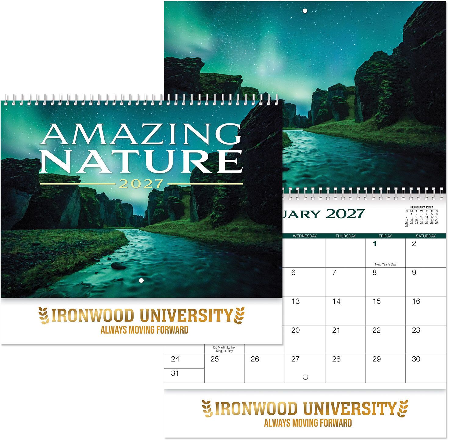 AMAZING NATURE SPIRAL WALL CALENDAR 15